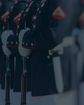 military-cases